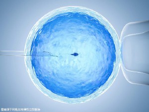 男科专家
